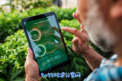 <b>如何使用jQuery获取元素的下标？</b>