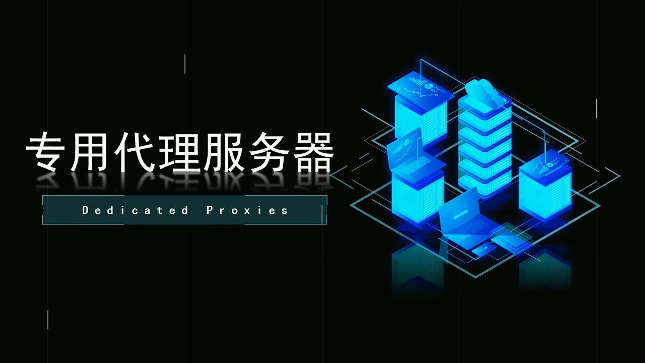 专用代理服务器