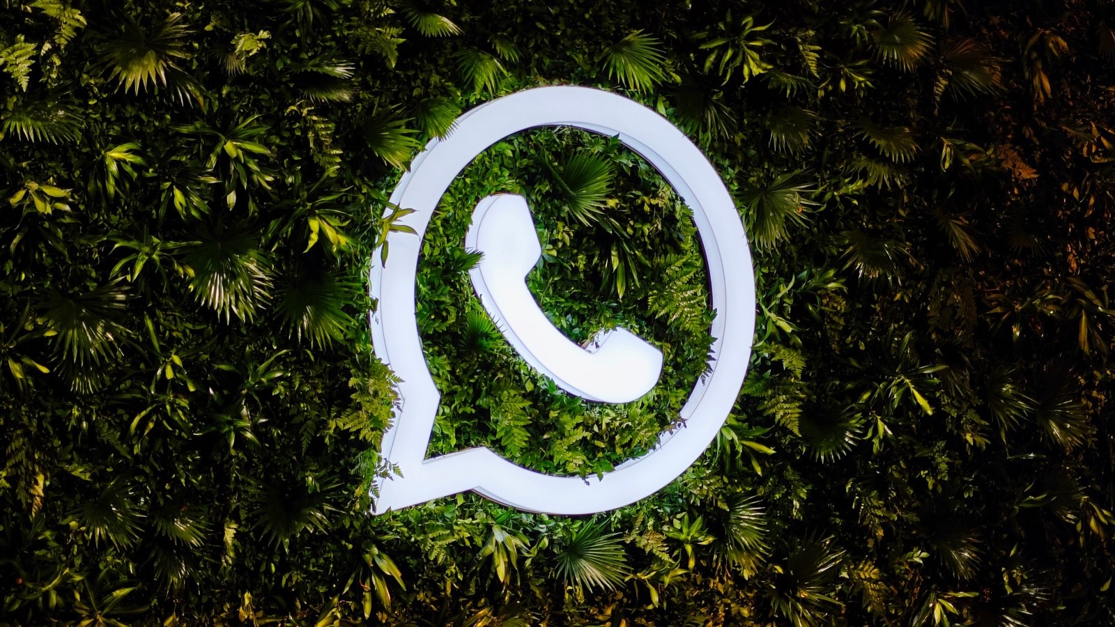 在伊朗无法使用WhatsApp？3种有效方法助您解锁