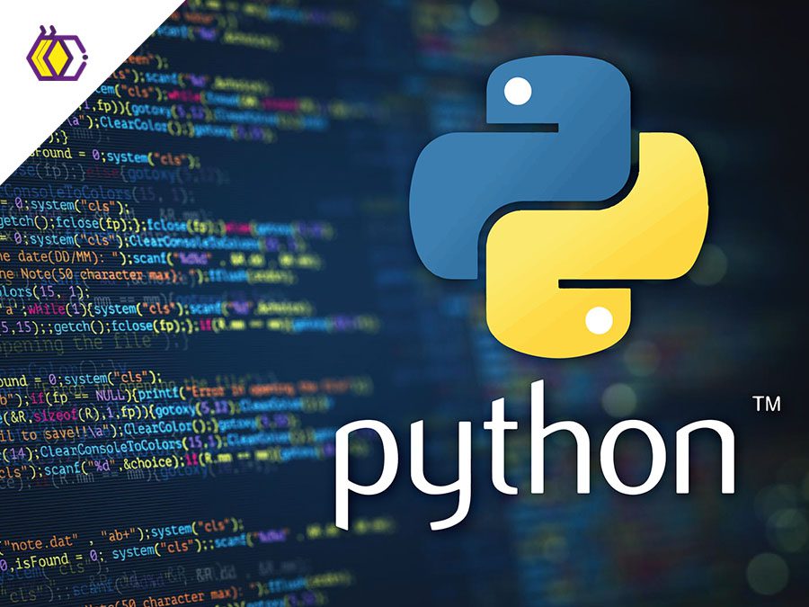 Go vs Python 2025：性能、并发与生态系统深度对比
