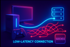 2025年最佳游戏SOCKS5代理推荐：告别延迟，畅享丝滑游戏体验