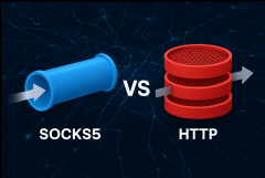 SOCKS代理与HTTP代理：网络爬虫的最佳选择与性能对比