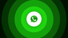 WhatsApp注册收不到验证码？2026年代理IP伪装度与风控对齐